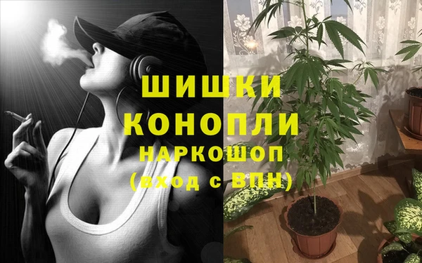 меф Арсеньев