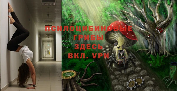 дживик Армянск