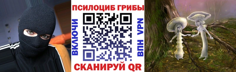 даркнет сайт Белый mega Псилоцибиновые грибы Magic Shrooms